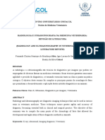 Radiologia e Utrassonografia Na Medicina Veterinária Revisão de