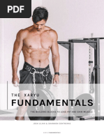 The Xaryu Fundamentals PDF