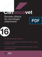 Clinoncovet 16 Tumores Perianales