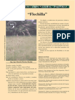 "Flechilla": Circulo Campo Natural - Pasturas