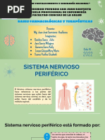 Sistema Nervioso C. Grupo 4 PDF