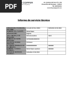 Informe de Servicio Técnico PDF