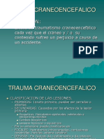 Trauma Craneoencefalico