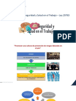 Legislacion en SST Ley 29783 PDF