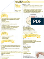 4 - Paratiroides