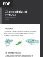 Characteristics of Protozoa