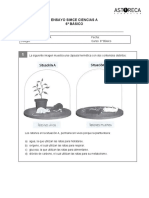 6 Básico Ensayo Simce Ciencias A PDF