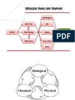 Hubungan Tanah Dan Tanaman PDF