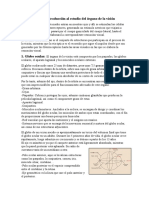 Tema 1 Introducción Al Estudio Del Órgano de La Visión