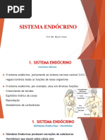 Sistema Endocrino