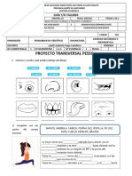 Proyecto Transversal Pessc 2