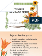 Tumbuh Kembang Fetus