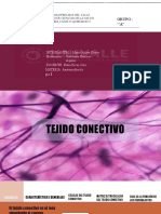 Tejido Conectivo 22 (12