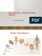 Sel, Jaringan, Organ, Sistem Organ: By. Zul Hendry