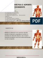 Sistema Muscular