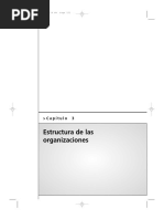 Estructura de Las Organizaciones - Vicente Ayala