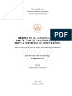 5 - Desarrollo Proyectos Ss Consultoria PDF