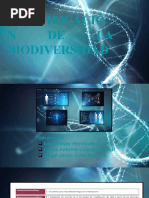 R A3.1 Biodiversidad H