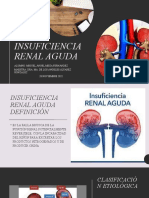 Insuficiencia Renal Aguda