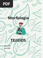 Resumen de Embriologia e Histologia