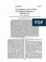 Protein Composition of The Cell Wall and Cytoplasmic Membrane of Escherichia Coli