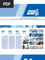 Vietnam Multimedia Corporation (VTC)