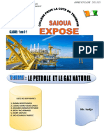 Expose - Petrole - Et - Gaz - Naturel 2023 N°3