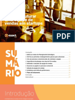 Como Estruturar Uma Equipe de Vendas em Startups PDF