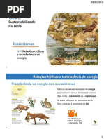 T2 - UF - Relacoes Troficas e Transferencia de Energia