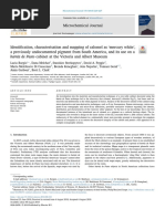 Identi Cation, Characterisation and Mapping of Calomel As Mercury White'