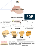 Conceptos y Organizador Grafico