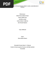 Unidad 2 - Tarea 3 - Identificación de Los Procesos para Realizar La Cosecha y Comercializacion de Hortalizas.