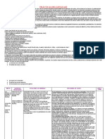 Planificacion Anual 5to A