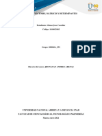 PDF Documento