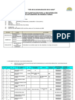 Aparcana Plan de Recuperacion - DPCC - 2 - Año