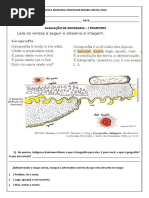 1 Avaliação 4º Ano Geografia 2023cris