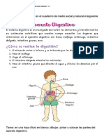 Hoja de Trabajo C. Sociales-Combinado PDF