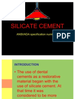 Silicate Cement