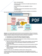 Metabolismo y Nutrientes