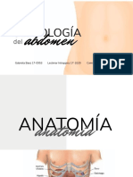 SEMIOLOGÍA Abdomen