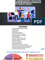 Curso de Prevencion de Riesgos Psicosociales 2022 003 PDF