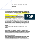 Comparación Entre Las Neuronas y Las Células