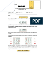 Protocolo Test Caras