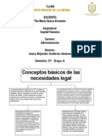 Conseptos Basicos de Las Necesidades Legales