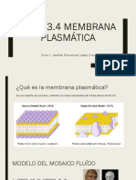 Tema 3.4 Membrana Plasmática IBT