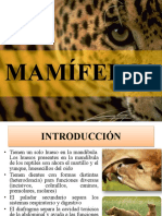 Mamiferos PDF