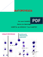 Hematopoyesis