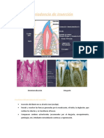 Periodoncio de Inserción