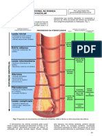 1 - Apostila - Terapia Nutricional Na Doença Cardiovasculares e Dislipidemia