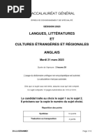 Bac 2023 LLCER Anglais